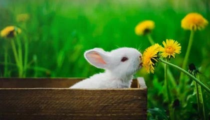 开云综合服务-山东鲁能将挑战上海上港，谁能在争夺胜利中笑到最后？，鲁能对战上港全集pptv视频回放